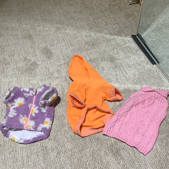 Dog sweater bundle - Picture 1 of 4